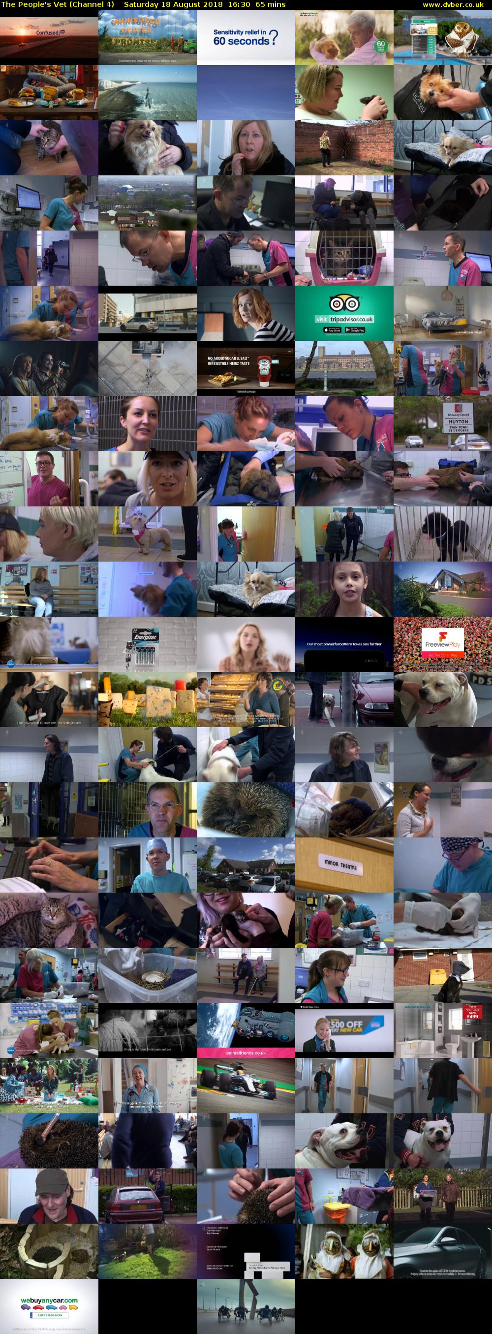 The People's Vet (Channel 4) Saturday 18 August 2018 16:30 - 17:35