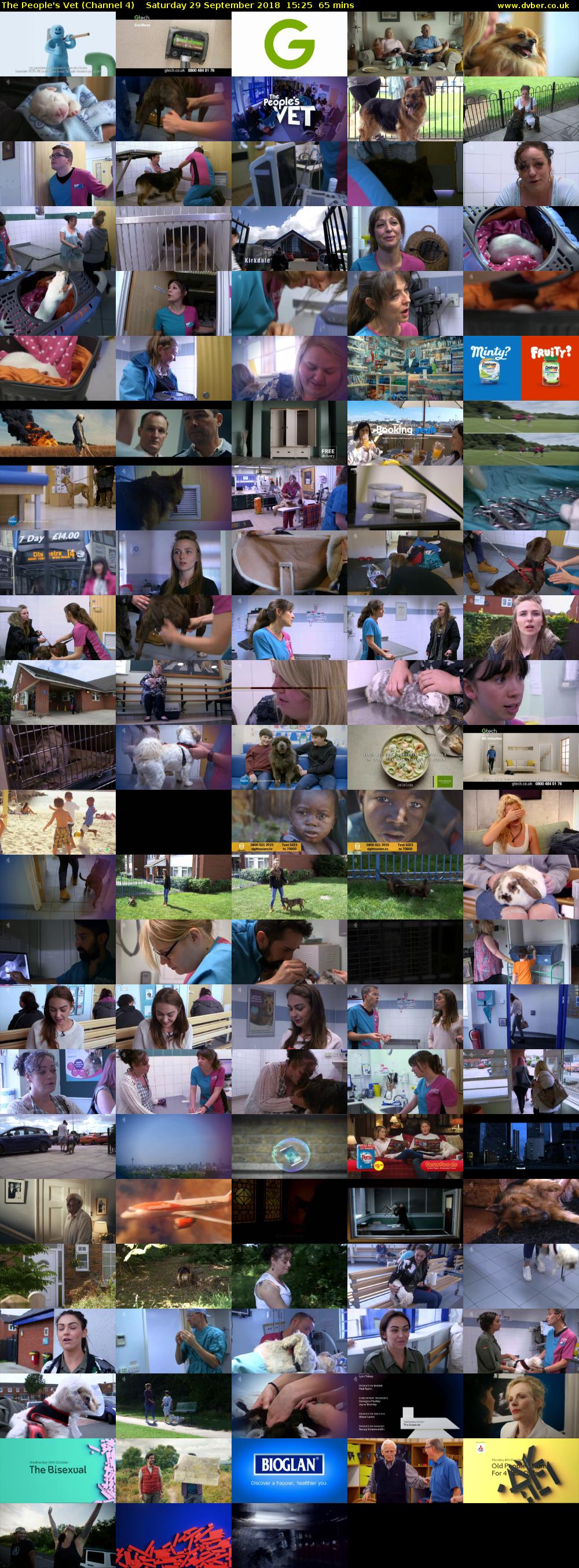 The People's Vet (Channel 4) Saturday 29 September 2018 15:25 - 16:30