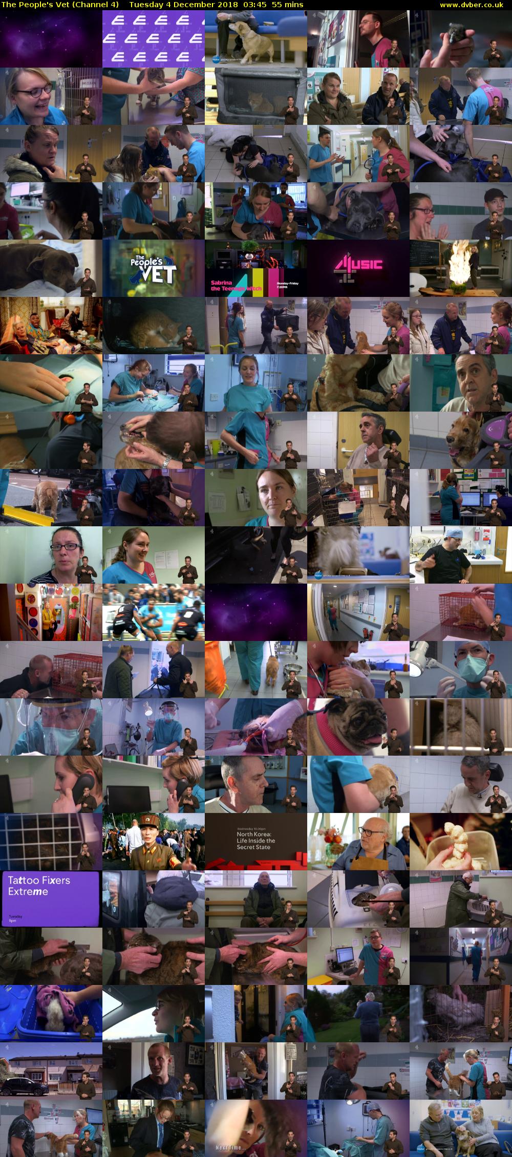 The People's Vet (Channel 4) Tuesday 4 December 2018 03:45 - 04:40