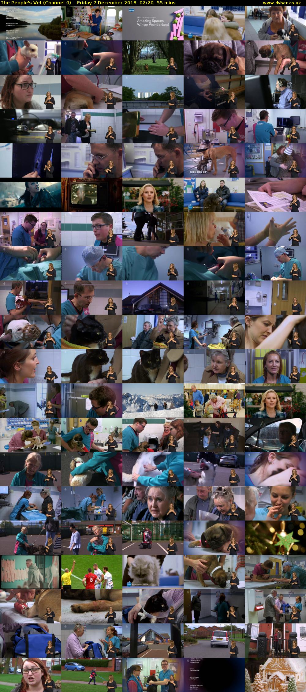 The People's Vet (Channel 4) Friday 7 December 2018 02:20 - 03:15
