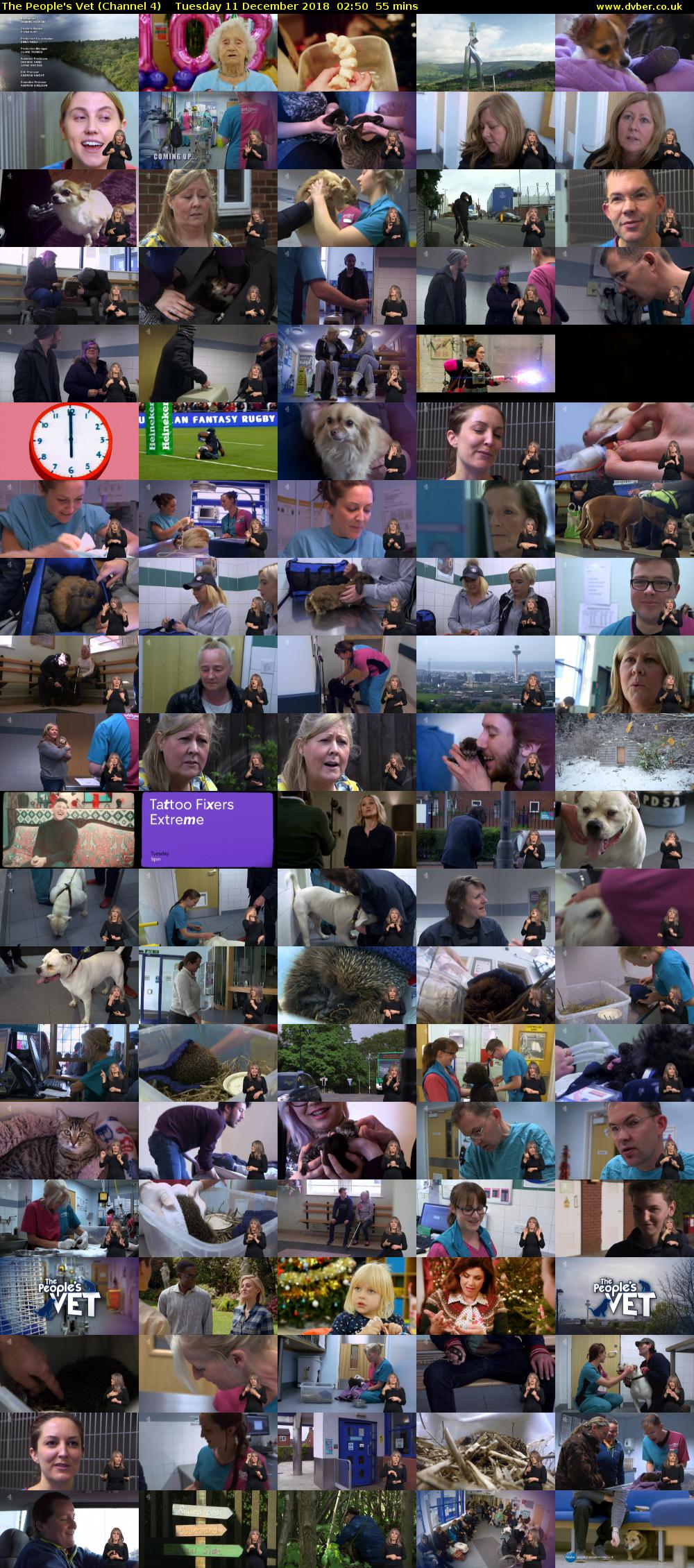 The People's Vet (Channel 4) Tuesday 11 December 2018 02:50 - 03:45