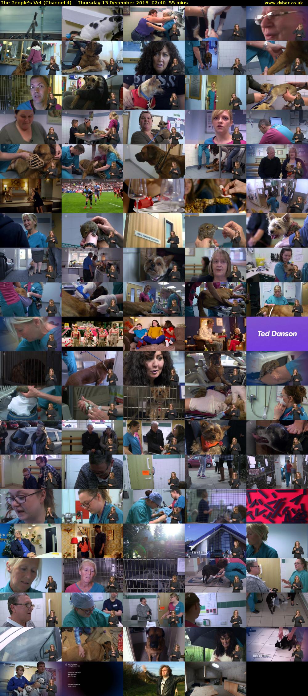 The People's Vet (Channel 4) Thursday 13 December 2018 02:40 - 03:35