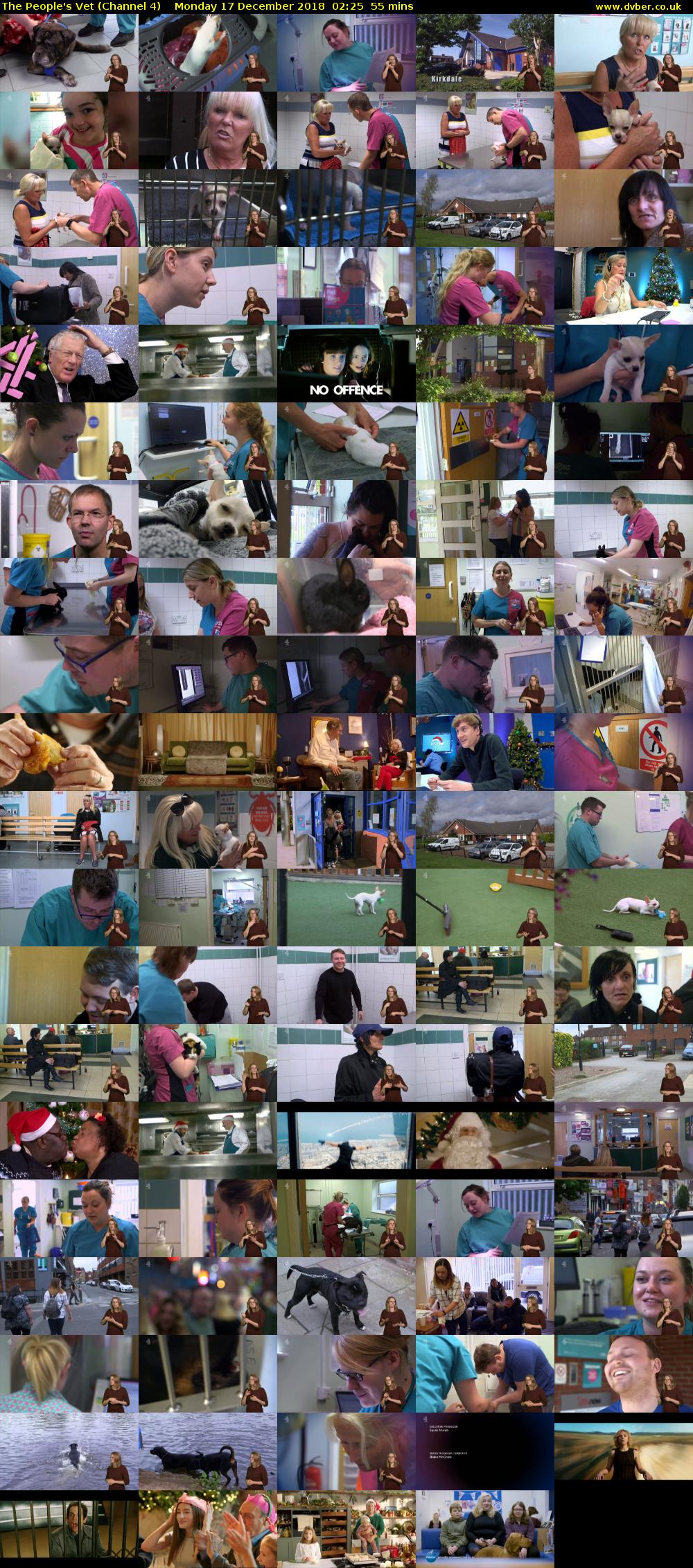 The People's Vet (Channel 4) Monday 17 December 2018 02:25 - 03:20