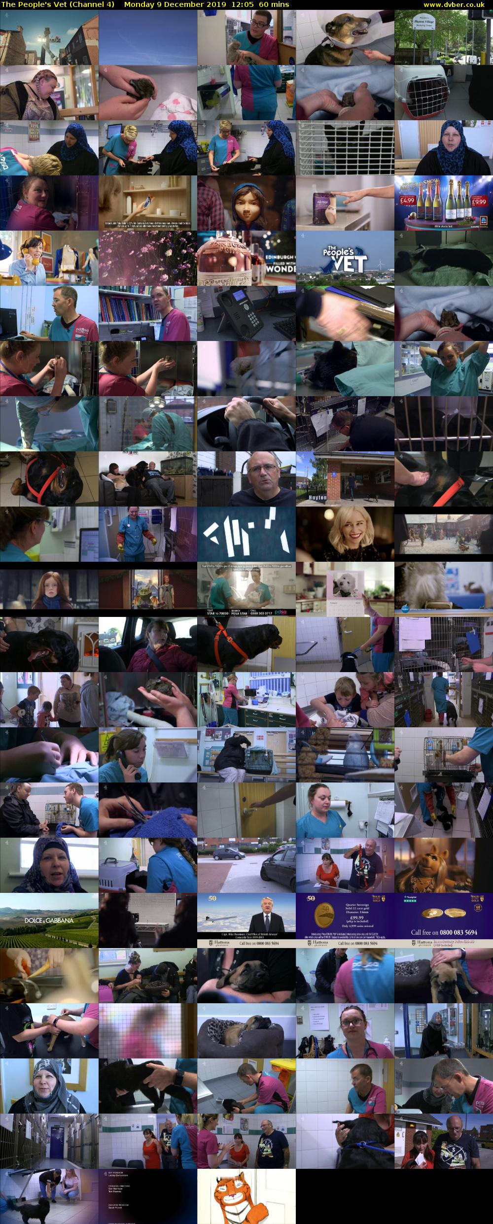 The People's Vet (Channel 4) Monday 9 December 2019 12:05 - 13:05