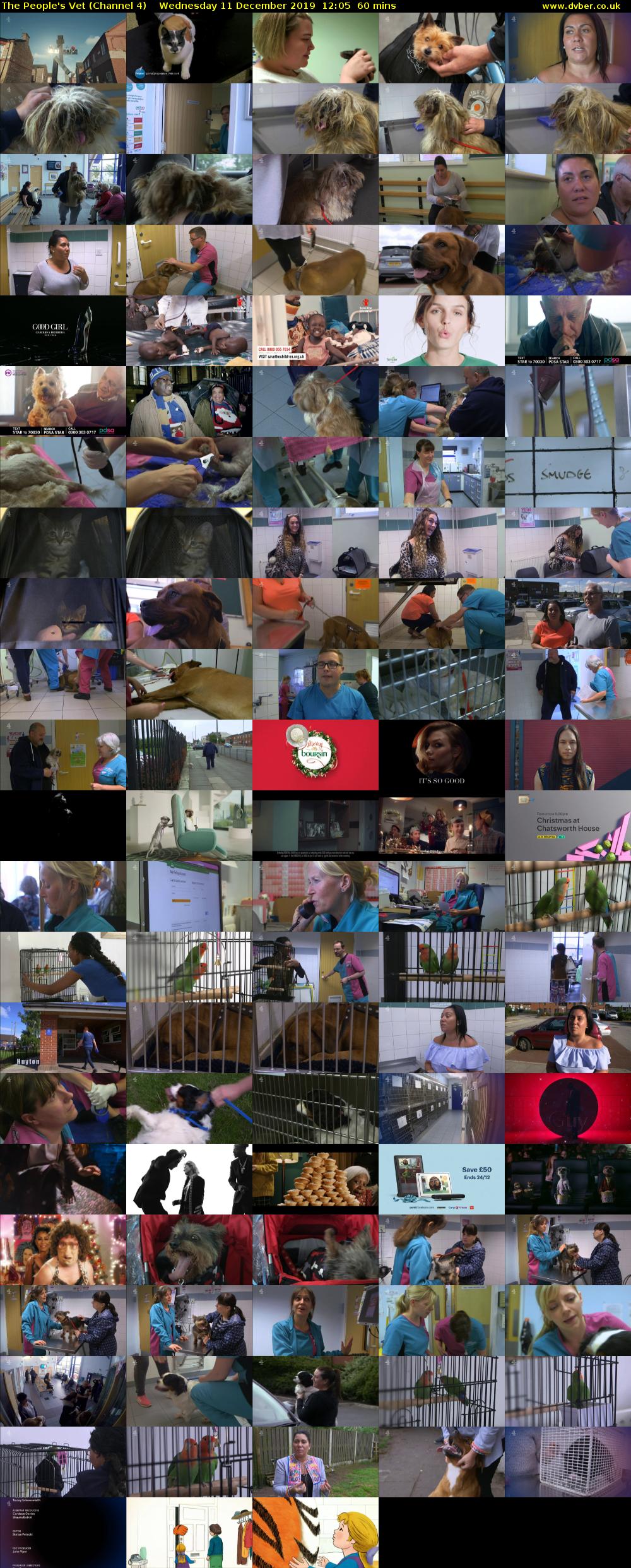The People's Vet (Channel 4) Wednesday 16 December 2019 12:05 - 13:05