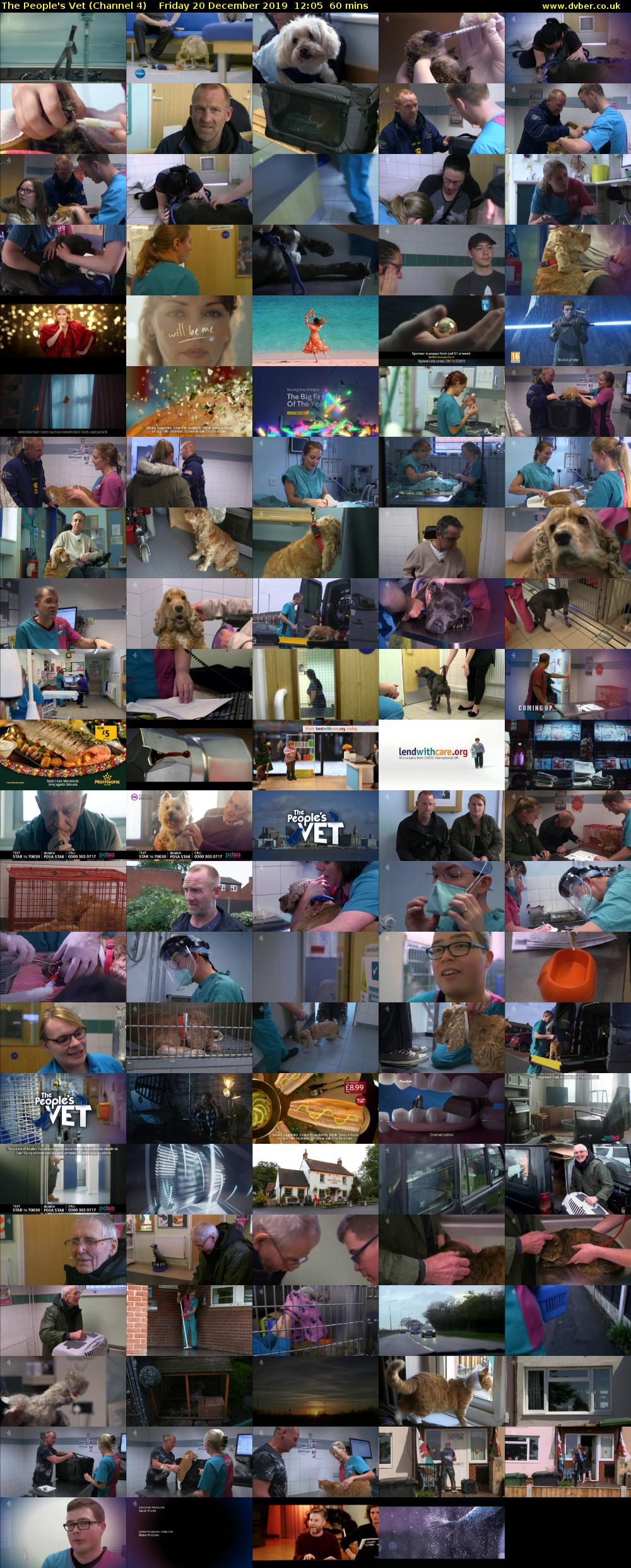 The People's Vet (Channel 4) Friday 20 December 2019 12:05 - 13:05