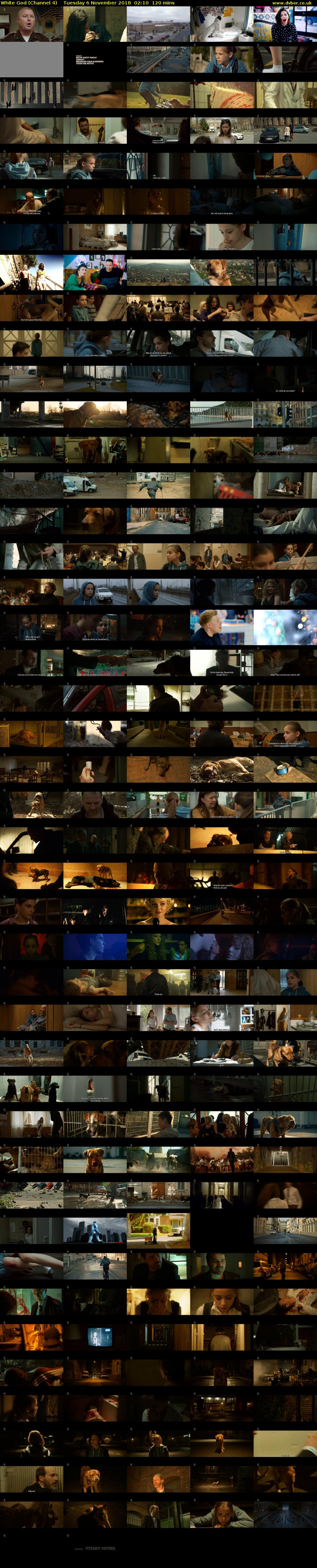 White God (Channel 4) Tuesday 6 November 2018 02:10 - 04:10