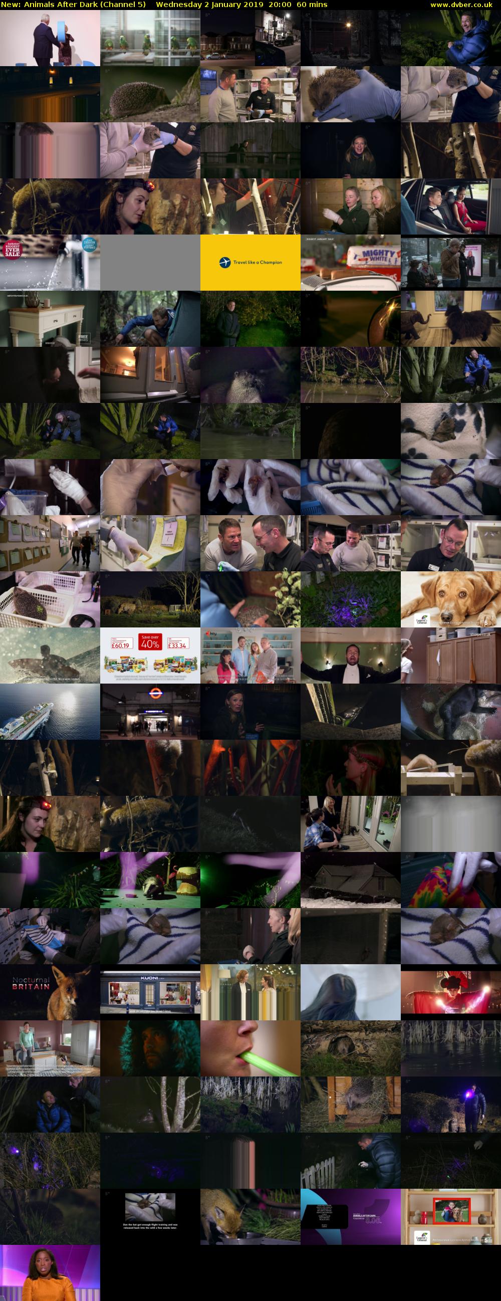 Animals After Dark (Channel 5) Wednesday 2 January 2019 20:00 - 21:00