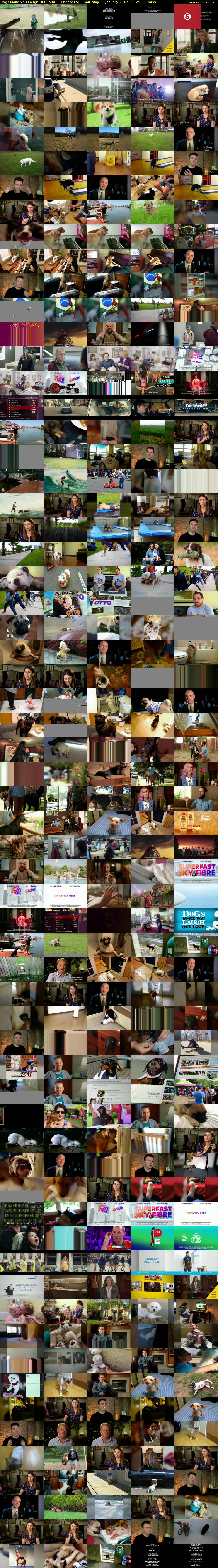 Dogs Make You Laugh Out Loud 3 (Channel 5) Saturday 14 January 2017 16:25 - 17:25