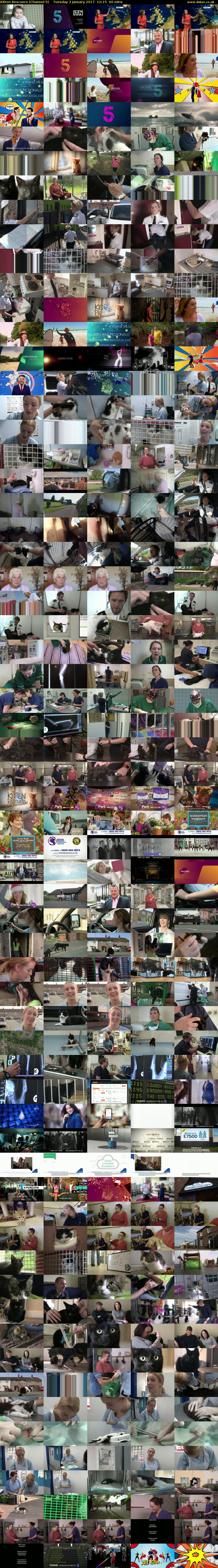 Kitten Rescuers (Channel 5) Tuesday 3 January 2017 12:15 - 13:15