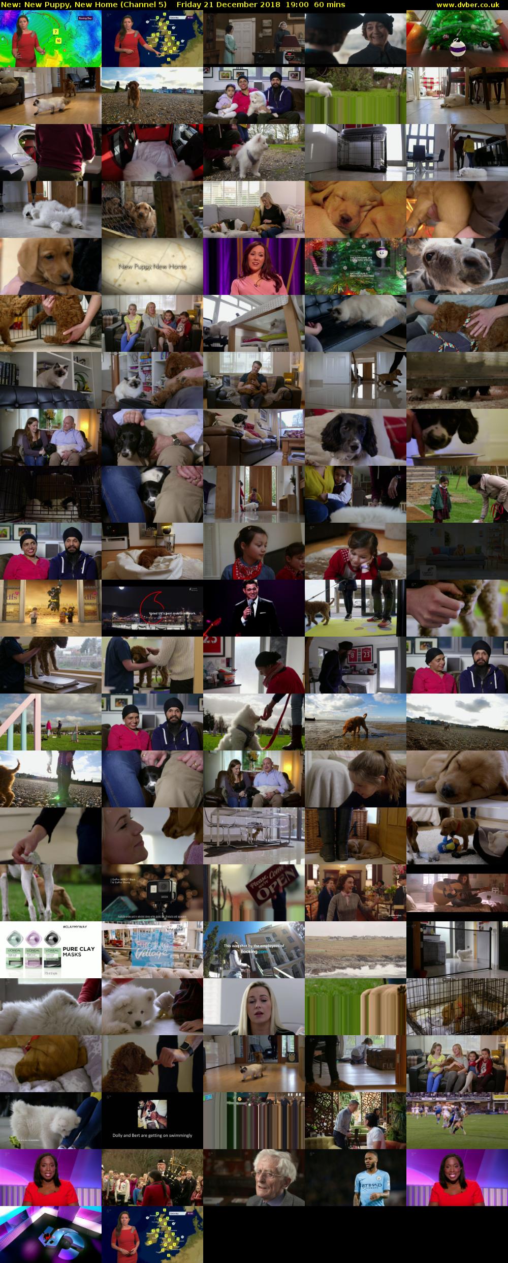 New Puppy, New Home (Channel 5) Friday 21 December 2018 19:00 - 20:00