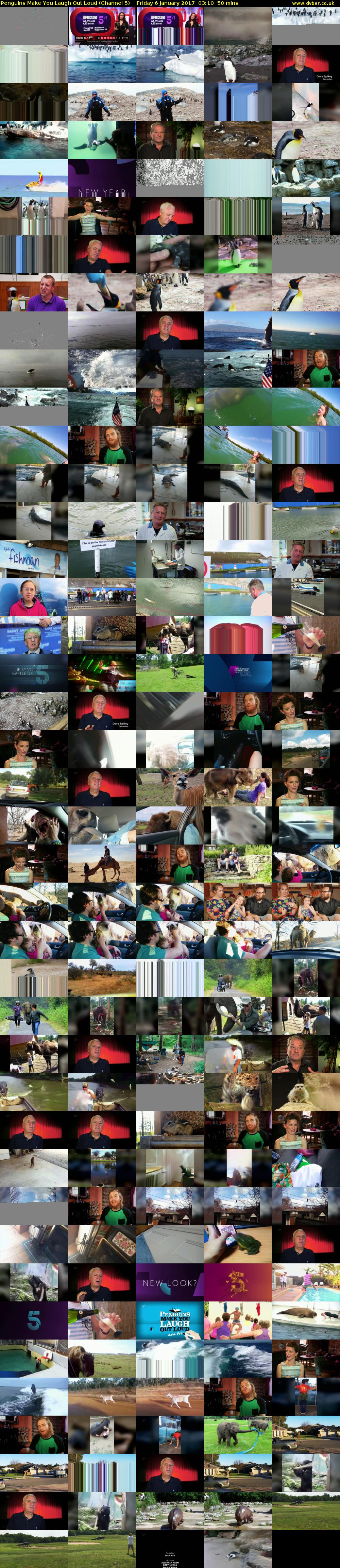 Penguins Make You Laugh Out Loud (Channel 5) Friday 6 January 2017 03:10 - 04:00