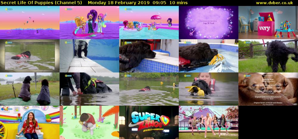 Secret Life Of Puppies (Channel 5) Monday 18 February 2019 09:05 - 09:15