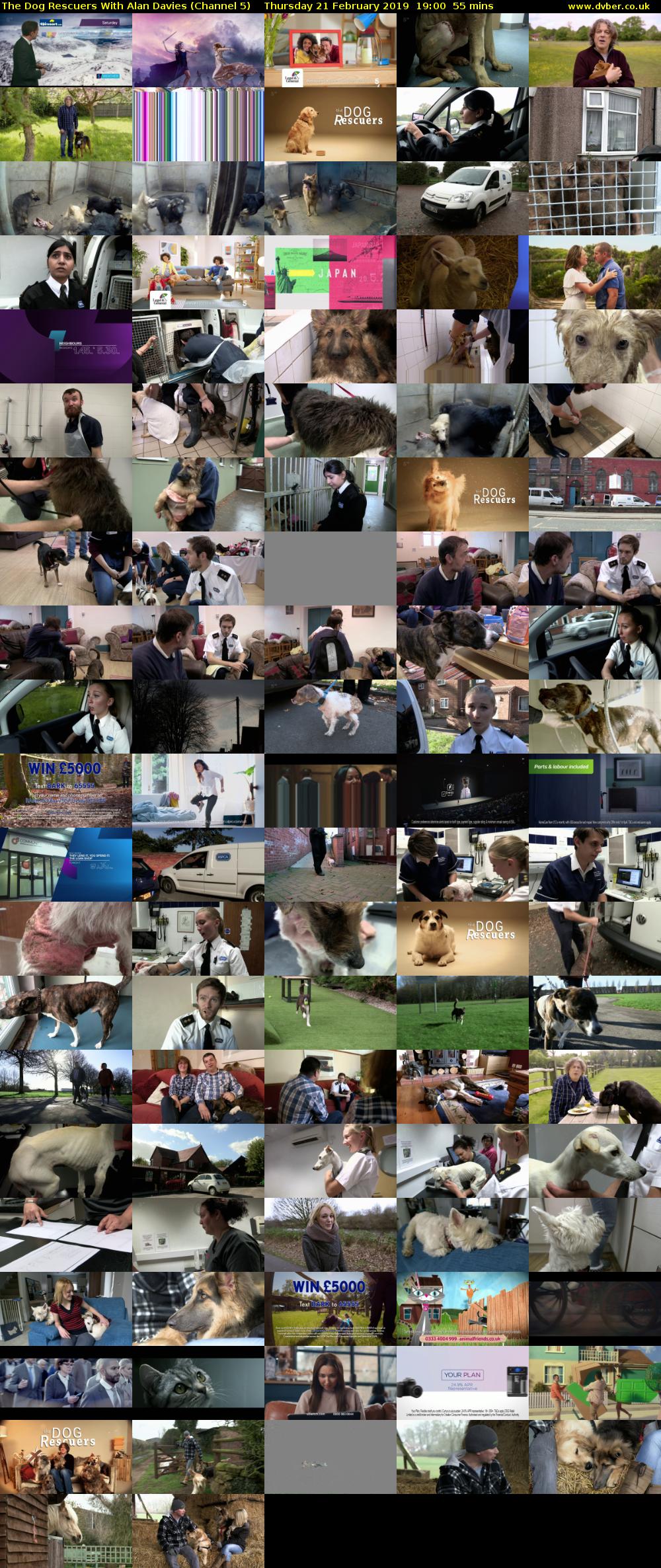 The Dog Rescuers With Alan Davies (Channel 5) Thursday 21 February 2019 19:00 - 19:55