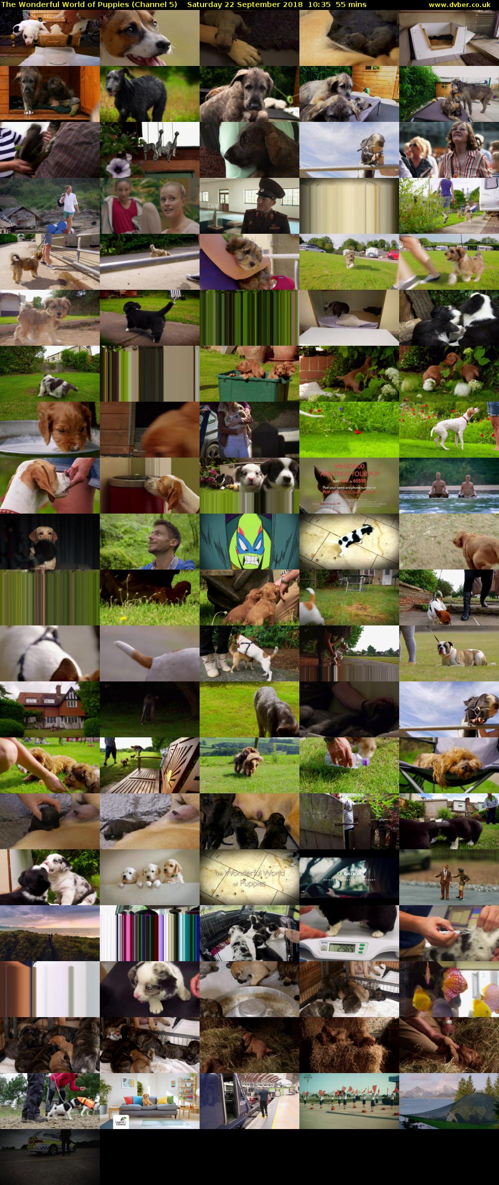 The Wonderful World of Puppies (Channel 5) Saturday 22 September 2018 10:35 - 11:30