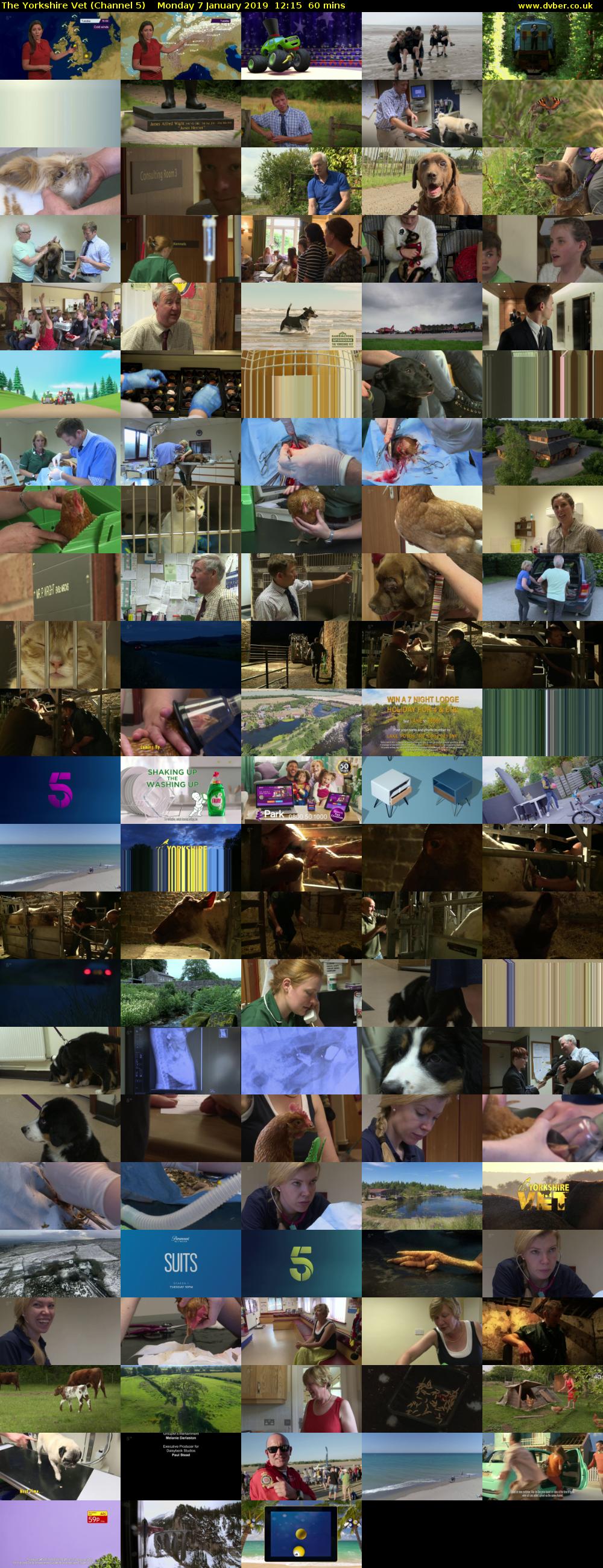 The Yorkshire Vet (Channel 5) Monday 7 January 2019 12:15 - 13:15