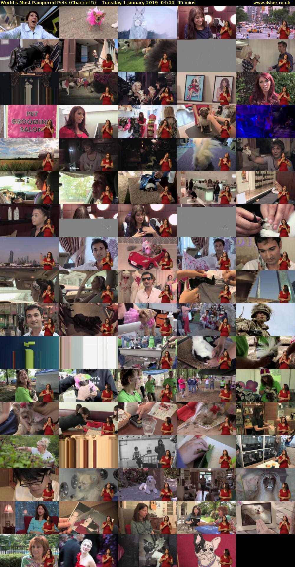 Worlds Most Pampered Pets (Channel 5) Tuesday 1 January 2019 04:00 - 04:45