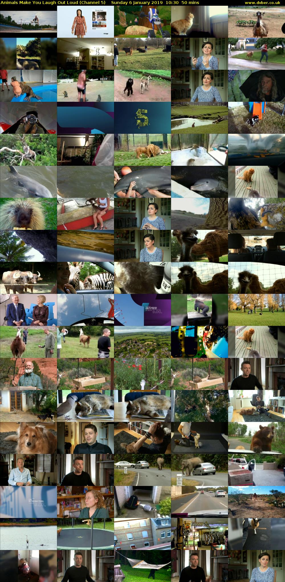 Animals Make You Laugh Out Loud (Channel 5) Sunday 6 January 2019 10:30 - 11:20