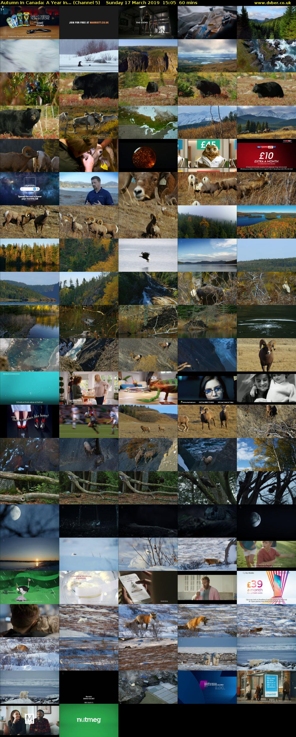 Autumn In Canada: A Year In... (Channel 5) Sunday 17 March 2019 15:05 - 16:05