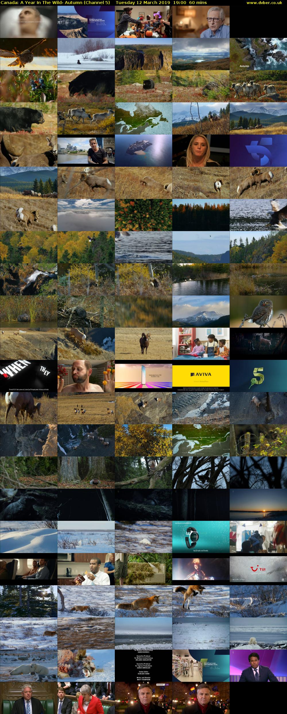 Canada: A Year In The Wild- Autumn (Channel 5) Tuesday 12 March 2019 19:00 - 20:00