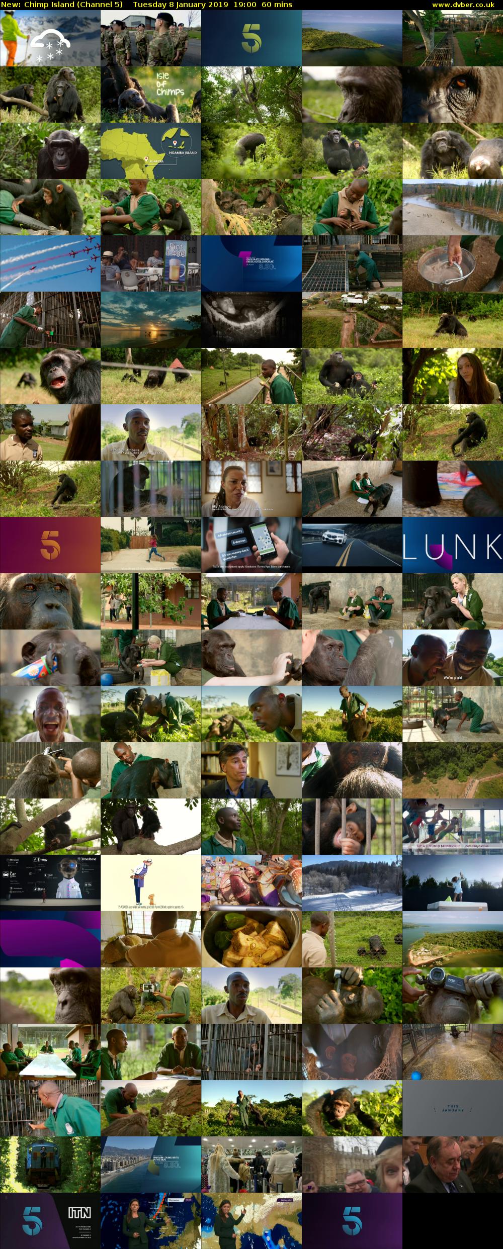 Chimp Island (Channel 5) Tuesday 8 January 2019 19:00 - 20:00