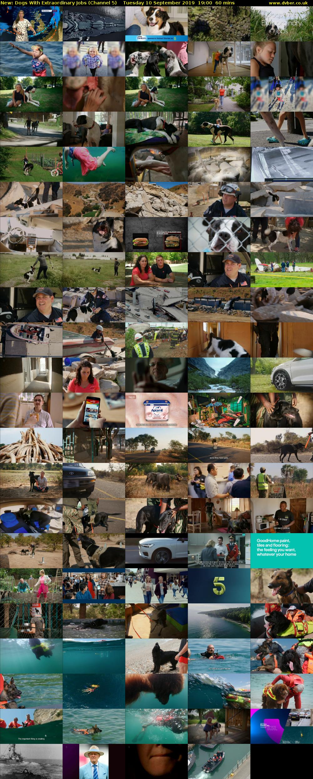 Dogs With Extraordinary Jobs (Channel 5) Tuesday 10 September 2019 19:00 - 20:00