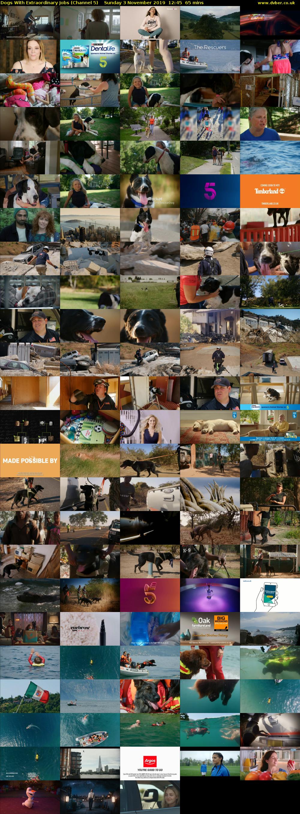 Dogs With Extraordinary Jobs (Channel 5) Sunday 3 November 2019 12:45 - 13:50