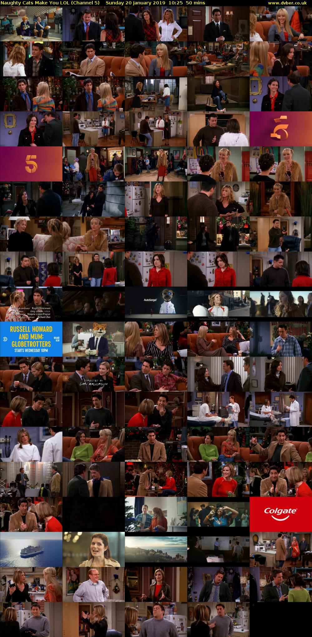 Naughty Cats Make You LOL (Channel 5) Sunday 20 January 2019 10:25 - 11:15