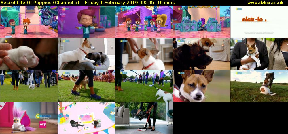 Secret Life Of Puppies (Channel 5) Friday 1 February 2019 09:05 - 09:15