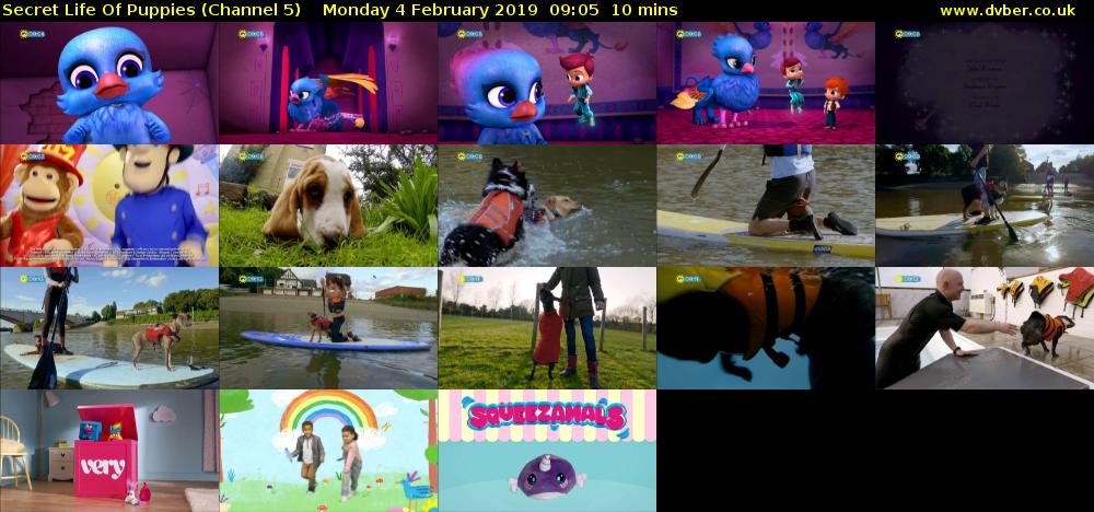 Secret Life Of Puppies (Channel 5) Monday 4 February 2019 09:05 - 09:15