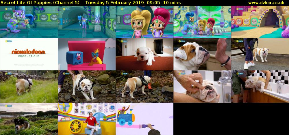 Secret Life Of Puppies (Channel 5) Tuesday 5 February 2019 09:05 - 09:15