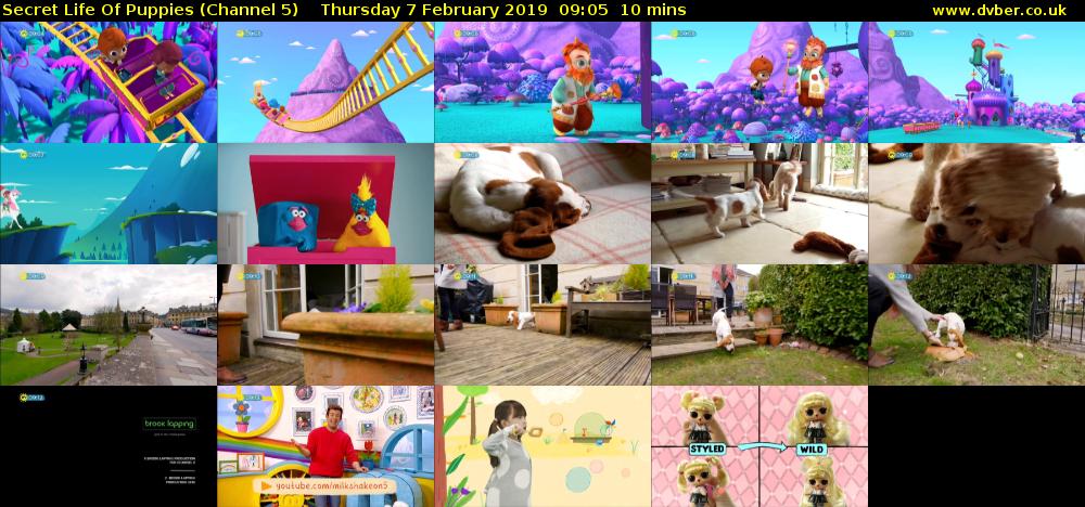 Secret Life Of Puppies (Channel 5) Thursday 7 February 2019 09:05 - 09:15