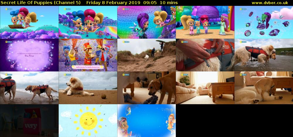 Secret Life Of Puppies (Channel 5) Friday 8 February 2019 09:05 - 09:15