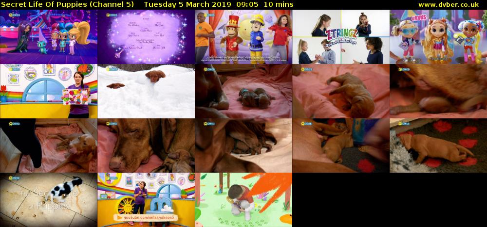 Secret Life Of Puppies (Channel 5) Tuesday 5 March 2019 09:05 - 09:15