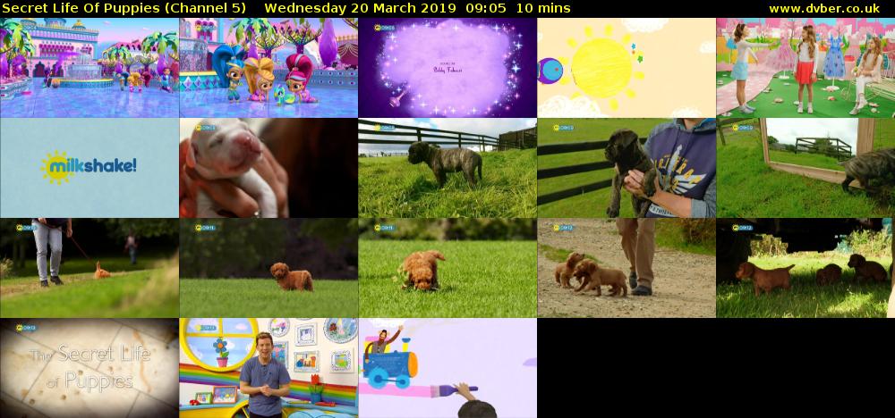 Secret Life Of Puppies (Channel 5) Wednesday 20 March 2019 09:05 - 09:15