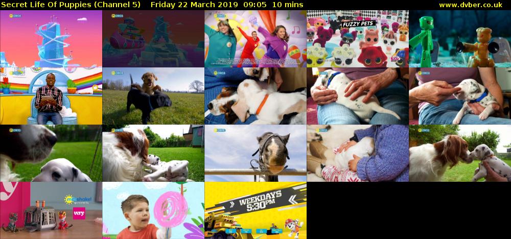 Secret Life Of Puppies (Channel 5) Friday 22 March 2019 09:05 - 09:15