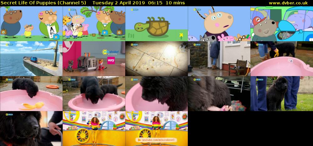 Secret Life Of Puppies (Channel 5) Tuesday 2 April 2019 06:15 - 06:25