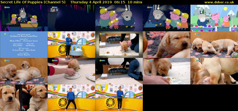 Secret Life Of Puppies (Channel 5) Thursday 4 April 2019 06:15 - 06:25