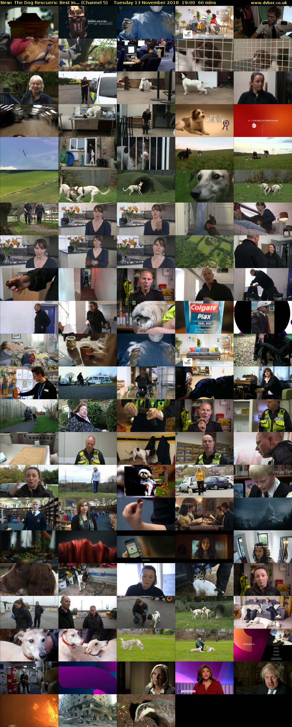The Dog Rescuers: Best In... (Channel 5) Tuesday 13 November 2018 19:00 - 20:00