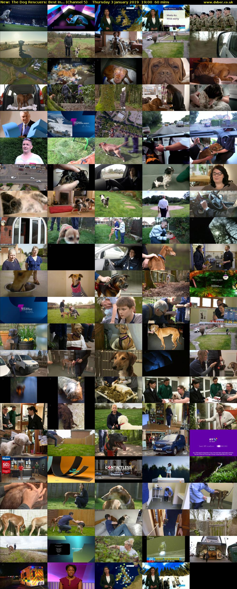 The Dog Rescuers: Best In... (Channel 5) Thursday 3 January 2019 19:00 - 20:00