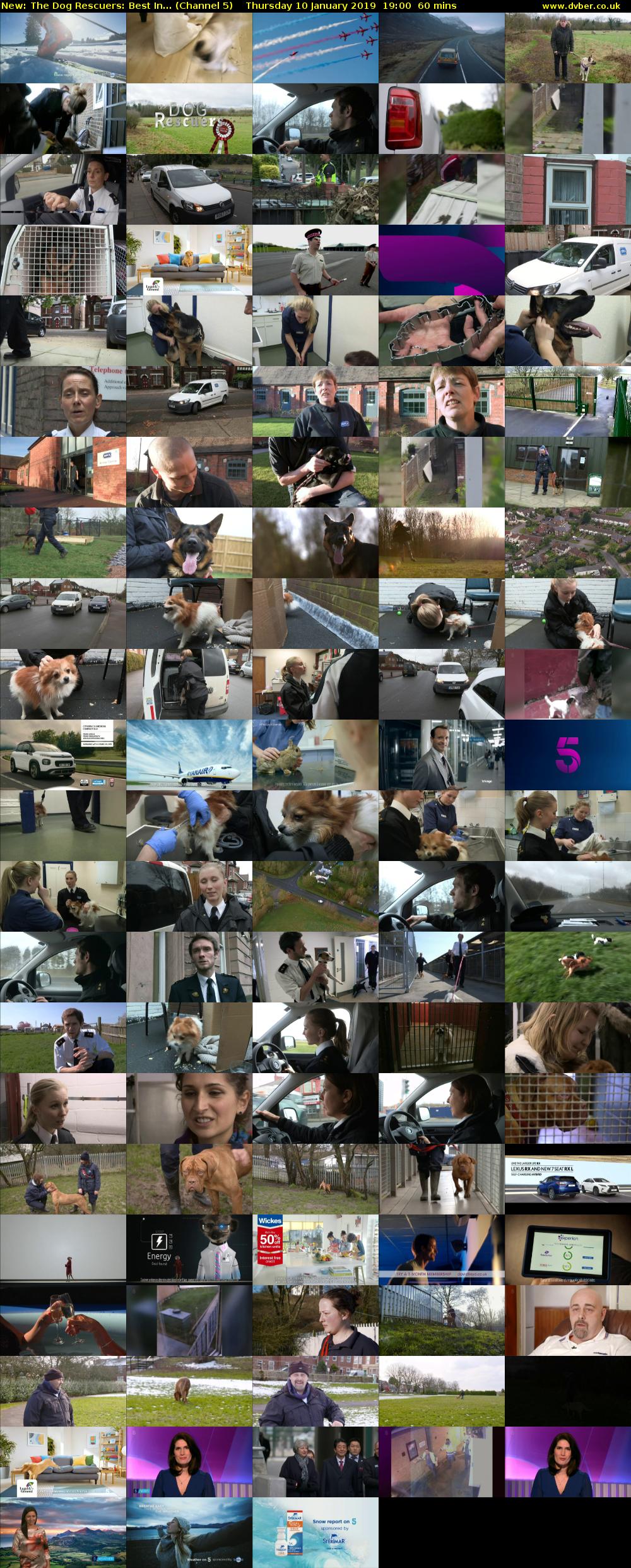 The Dog Rescuers: Best In... (Channel 5) Thursday 10 January 2019 19:00 - 20:00
