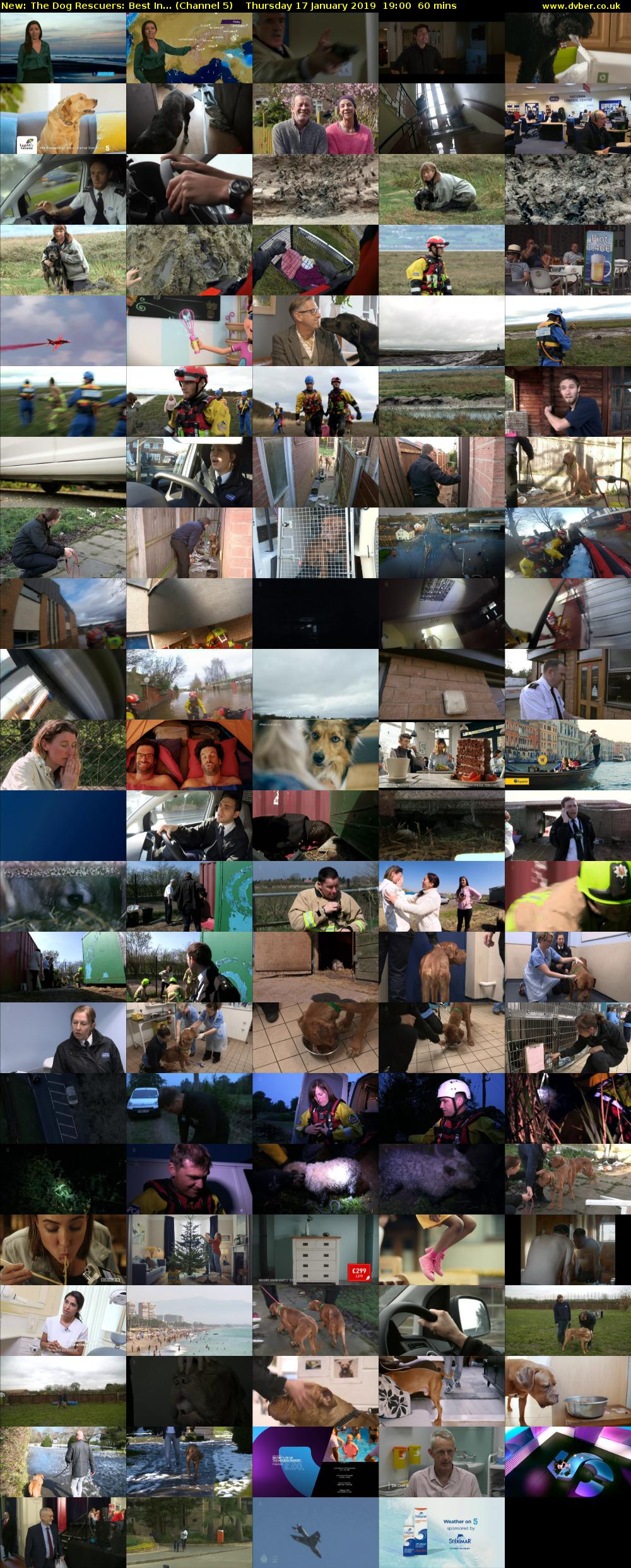 The Dog Rescuers: Best In... (Channel 5) Thursday 17 January 2019 19:00 - 20:00