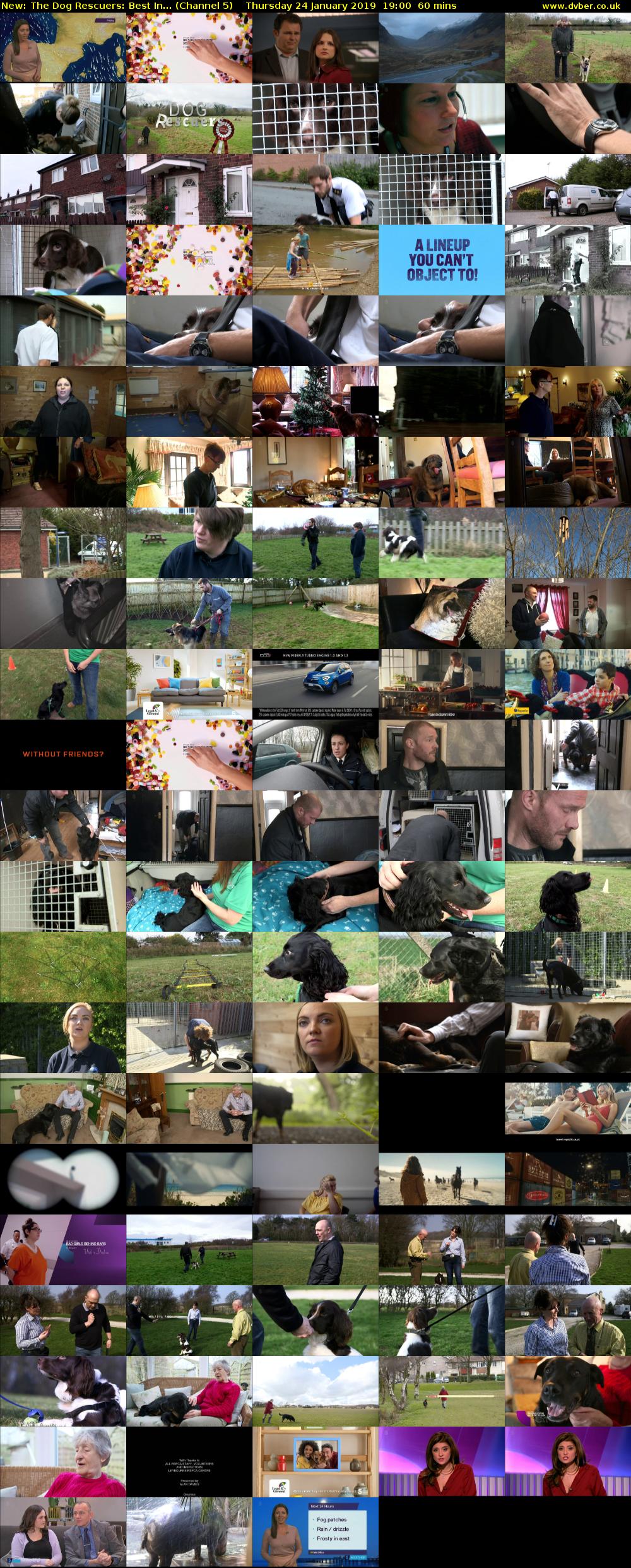 The Dog Rescuers: Best In... (Channel 5) Thursday 24 January 2019 19:00 - 20:00