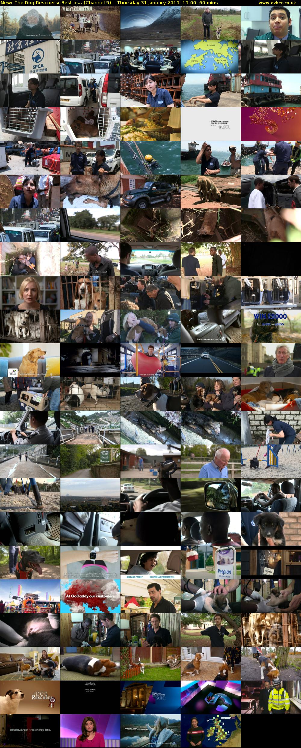 The Dog Rescuers: Best In... (Channel 5) Thursday 31 January 2019 19:00 - 20:00