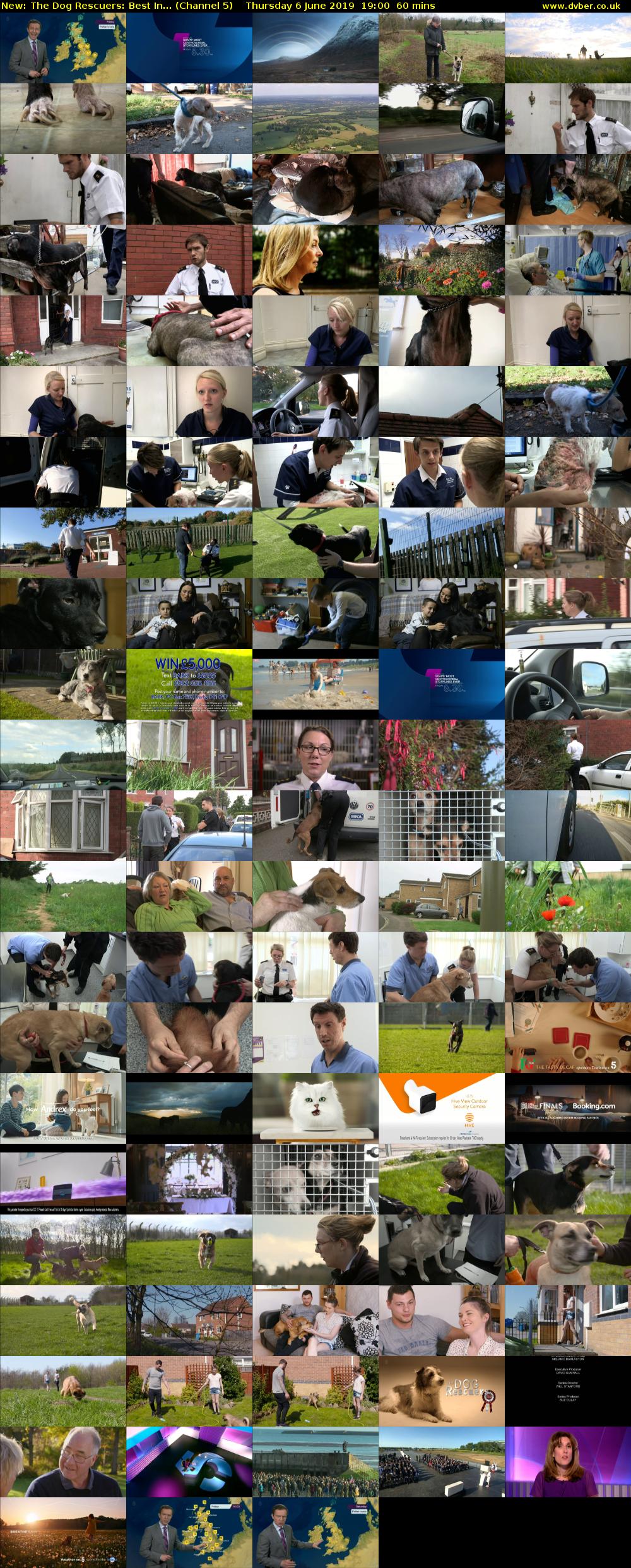 The Dog Rescuers: Best In... (Channel 5) Thursday 6 June 2019 19:00 - 20:00