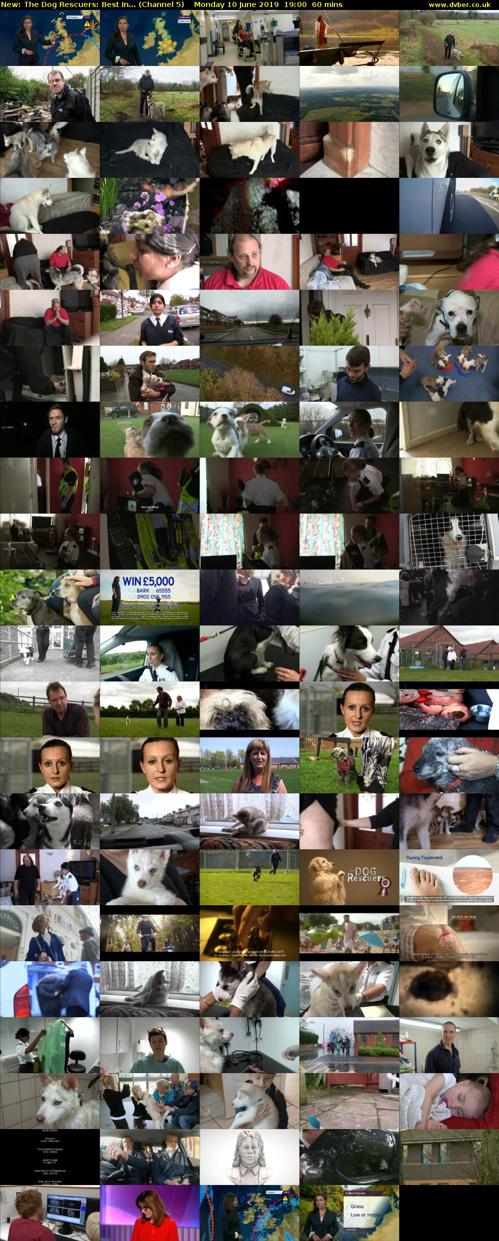 The Dog Rescuers: Best In... (Channel 5) Monday 10 June 2019 19:00 - 20:00
