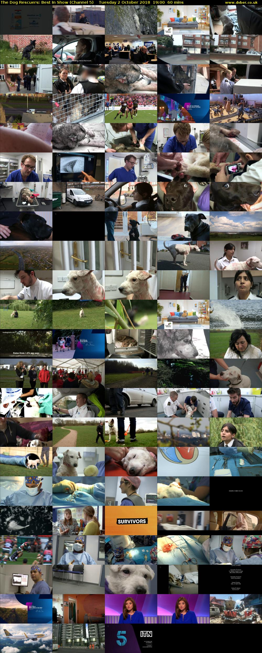The Dog Rescuers: Best In Show (Channel 5) Tuesday 2 October 2018 19:00 - 20:00