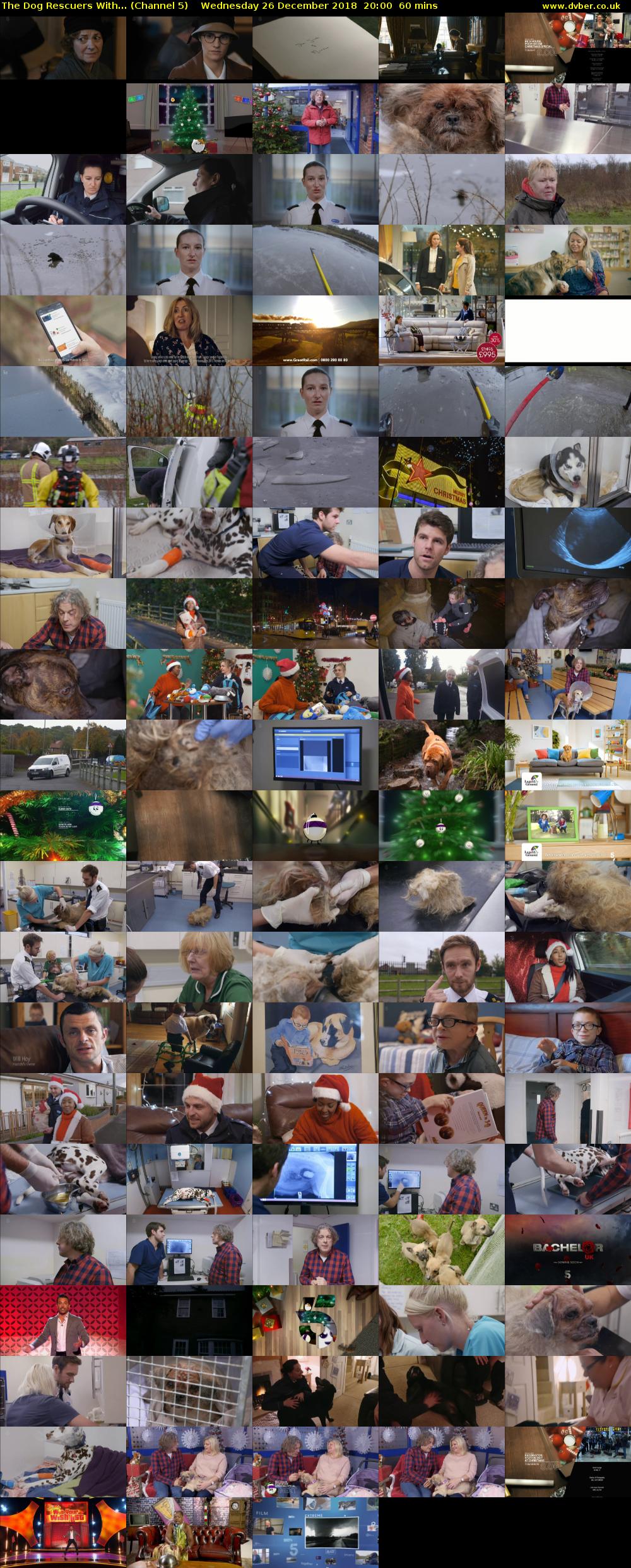 The Dog Rescuers With... (Channel 5) Wednesday 26 December 2018 20:00 - 21:00