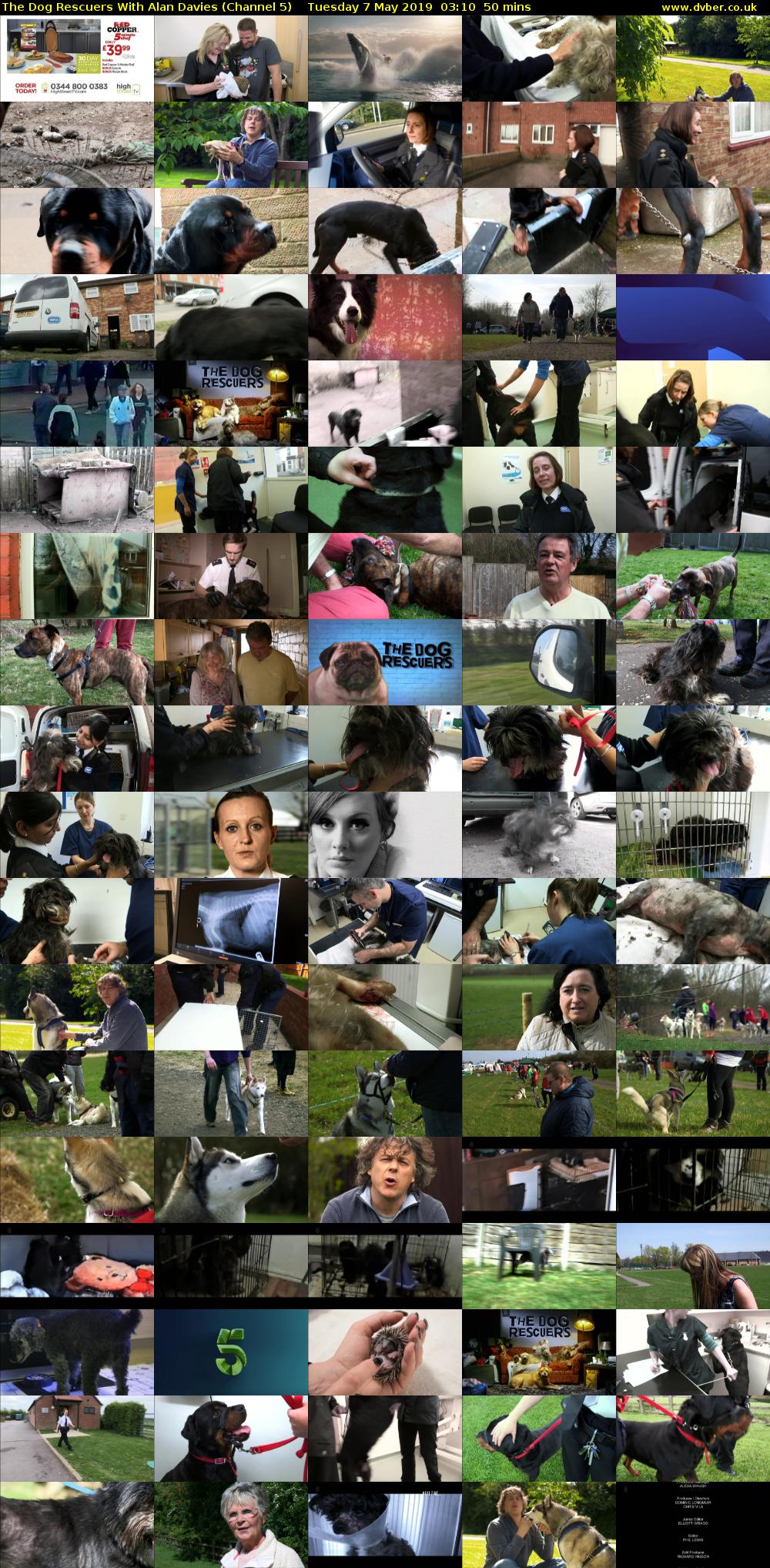 The Dog Rescuers With Alan Davies (Channel 5) Tuesday 7 May 2019 03:10 - 04:00