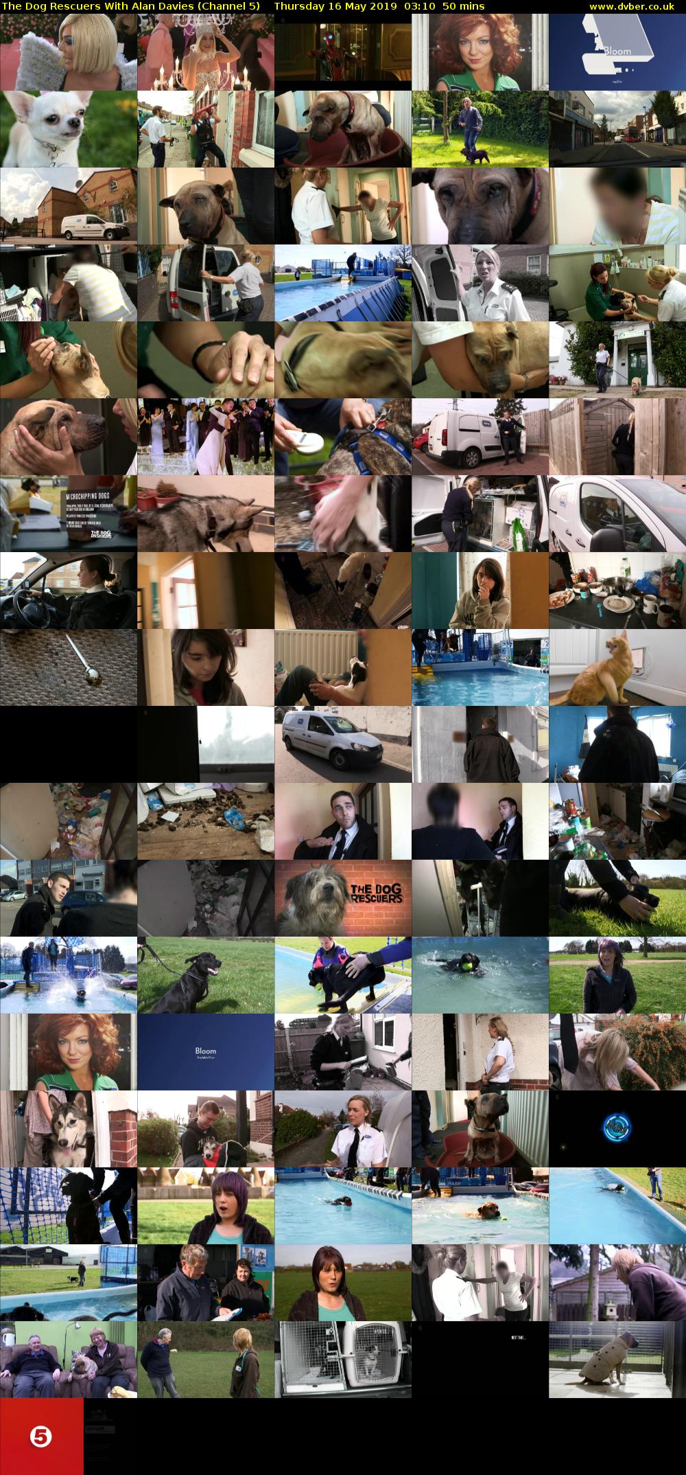 The Dog Rescuers With Alan Davies (Channel 5) Thursday 16 May 2019 03:10 - 04:00